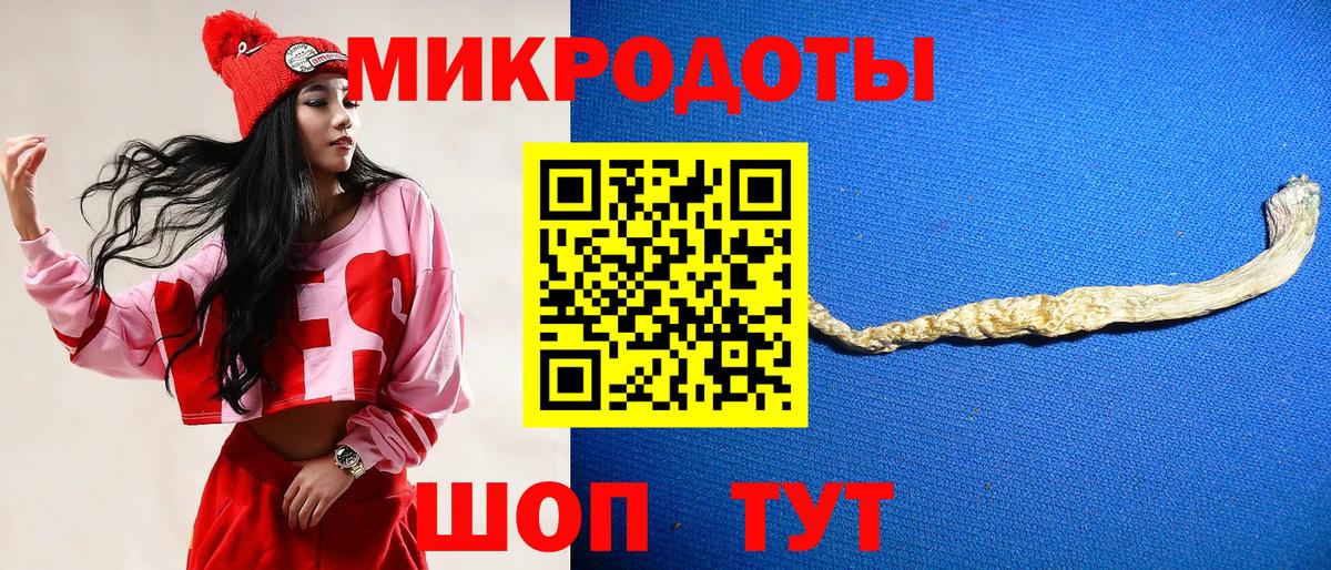 Галлюциногенные грибы Psilocybe  Вход с VPN  Кириши 